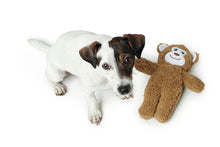Load image into Gallery viewer, Dog toy TERNI Monkey