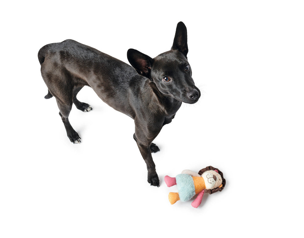 MULI Lion Dog toy - Hunter Pet Store -ideal for puppies and dogs that like to cuddle -with squeaker -washable at 86 °F -7.1 in