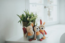Load image into Gallery viewer, Dog toy MULI Lion