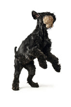 Load image into Gallery viewer, Dog toy PORI Cow