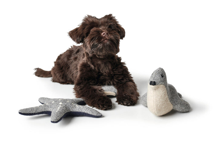 SKAGEN Seal - Hunter Pet Store -Cute dog toy in a maritime look, without squeaker -For small and medium-sized dogs -For playing, cuddling and loving -Made of up-cycled outer material and recycled filling -Attractive yet tough wool/polyester mix -Machine washable at 140 °F -9.8"
