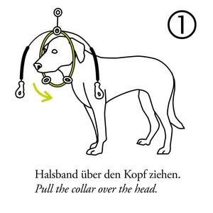 Harness SIDE-BY-SIDE