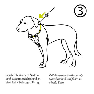 Harness SIDE-BY-SIDE