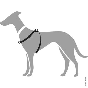 Harness SIDE-BY-SIDE