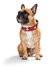 Load image into Gallery viewer, Collar SWISS