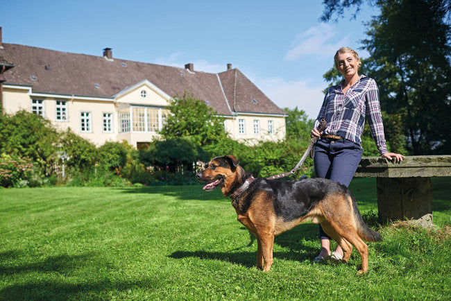 SWISS Leash - Hunter Pet Store -especially soft cow leather -crosses are sewn in individually -with hand loop -made in Germany