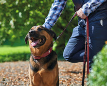Load image into Gallery viewer, Adjustable Leash SWISS