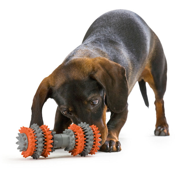 TOOTH CLEANER Dog toy - Hunter Pet Store -activity toy for small to medium sized dogs -can be filled with snacks -offers playful gum massage and teeth cleaning -can be easily picked up and retrieved -easy care: simply washable -5.51 in