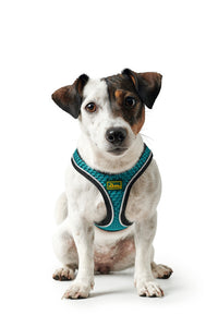 Harness HILO Comfort