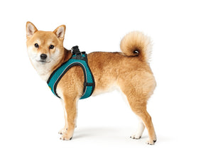 Harness HILO Comfort