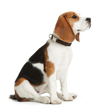 Load image into Gallery viewer, Collar VB Alu-Strong