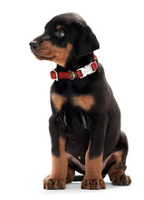 Load image into Gallery viewer, Collar VB Alu-Strong