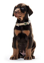 Load image into Gallery viewer, Collar VB Alu-Strong