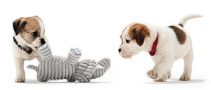 Dog toy HUGGLY ZOO Donkey